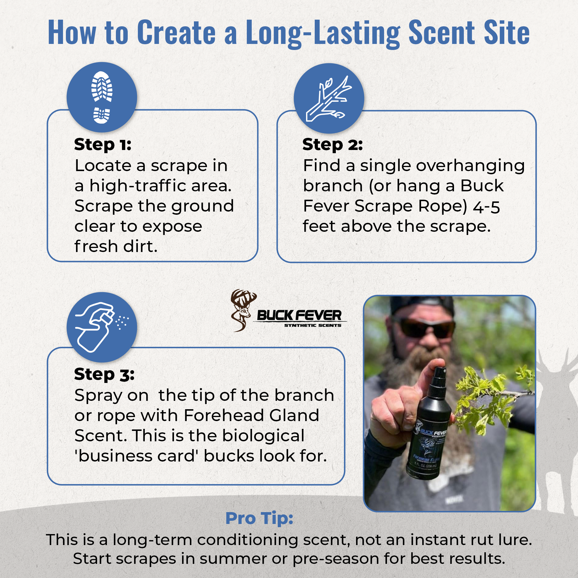 Forehead Scrape Forehead Gland - Synthetic Scrape Branch Deer Scent – Buck Fever Scents